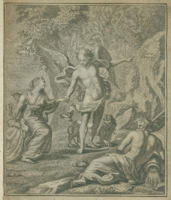 Bild Nr.3: 129-1426 Rossi,P.: (Zoologie, Insekten)