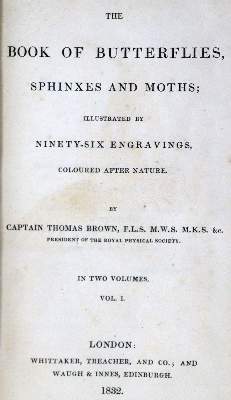Bild Nr.1: 129-1432 Brown,T.: (Zoologie, Schmetterlinge)