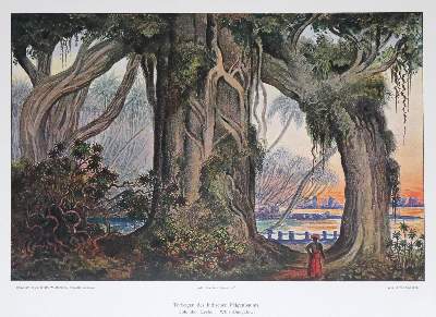 Bild Nr.1: 129-1532 Haeckel,E.: (Asien)