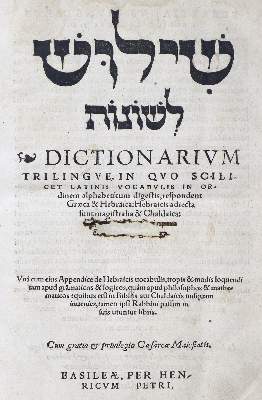 Bild Nr.1: 129-172 (Münster,S.): (Alte Drucke, Handschriften und Theologie)