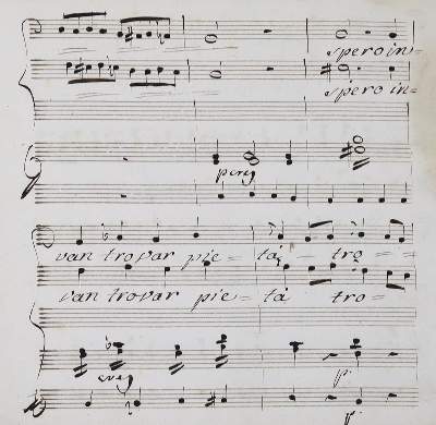 Bild Nr.2: 129-172 (Münster,S.): (Alte Drucke, Handschriften und Theologie)