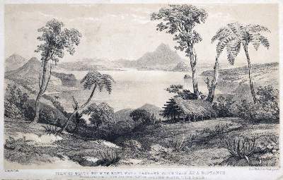 Bild Nr.2: 129-1877 Dieffenbach,E.: (Verschiedene Länder - Geschichte, Neuseeland)