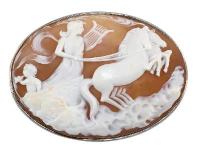 Bild Nr.1: 129-2508 Muschelkamee.: (Schmuck, Broschen, Gemmen und Kameen)