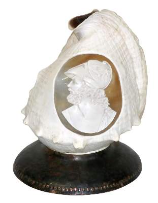 Bild Nr.1: 129-2680 Große Tritonmuschel: (Schmuck, Gemmen und Kameen)