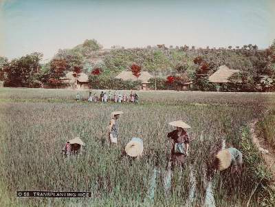 Bild Nr.5: 129-3010 Japan.: (Japan)