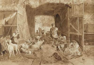 Bild Nr.1: 129-3033 Schafschur: (Varia, Berufe)