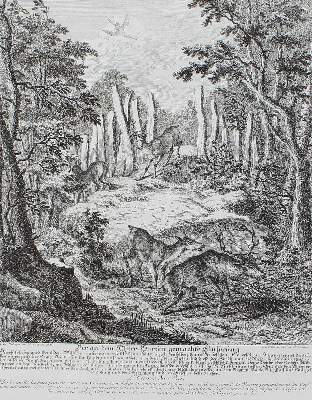 Bild Nr.21: 129-3072 Jagdkunst.: (Varia, Jagd, Ridinger)