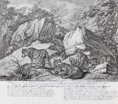 Bild Nr.41: 129-3072 Jagdkunst.: (Varia, Jagd, Ridinger)