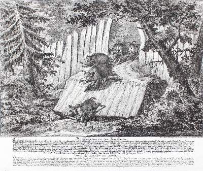 Bild Nr.1: 129-3074 Wolfsjagd.: (Varia, Jagd, Ridinger)