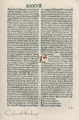 Bild Nr.7: 129-3075 Sammlung: (Varia, Jagd)
