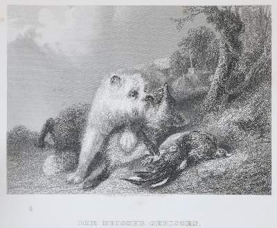 Bild Nr.1: 129-3091 Konvolut: (Varia)