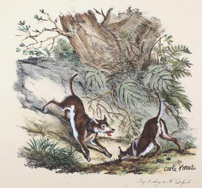 Bild Nr.3: 129-3095 Delpech, Francois-Séraphin: (Varia, Kynologie)