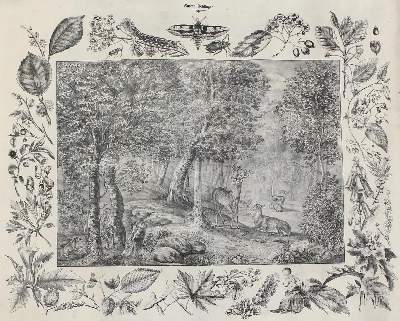 Bild Nr.1: 129-3151 Anschauungsbilder.: (Varia, Zoologie)