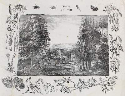 Bild Nr.2: 129-3151 Anschauungsbilder.: (Varia, Zoologie)