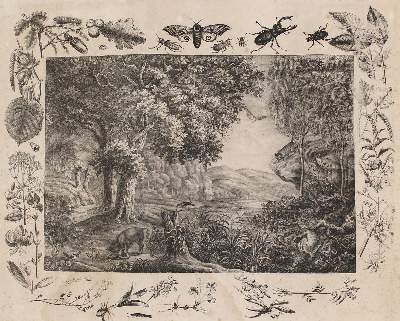 Bild Nr.4: 129-3151 Anschauungsbilder.: (Varia, Zoologie)