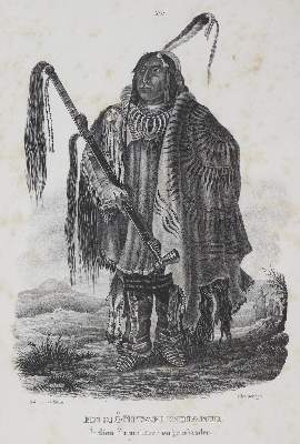 Bild Nr.3: 129-3272 Honegger: (Ausland, Amerika)