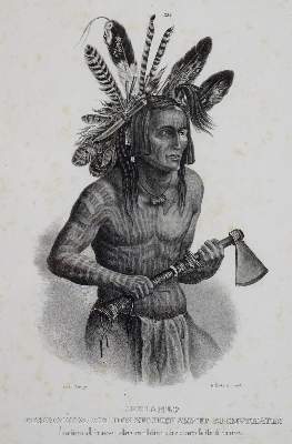 Bild Nr.4: 129-3272 Honegger: (Ausland, Amerika)