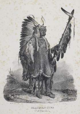 Bild Nr.5: 129-3272 Honegger: (Ausland, Amerika)