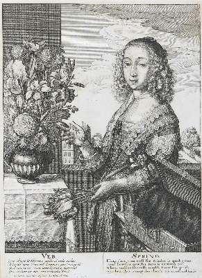 Bild Nr.1: 129-3658 Hollar, Wenzel: (Künstlergraphik)