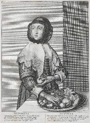 Bild Nr.3: 129-3658 Hollar, Wenzel: (Künstlergraphik)