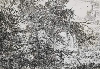 Bild Nr.1: 129-3987 Ruisdael, Jacob Isaackszoon: (Künstlergraphik)