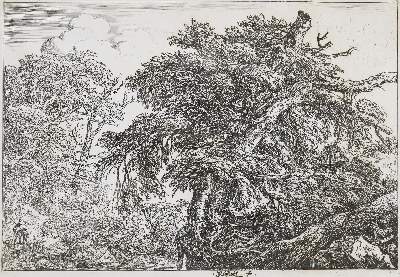Bild Nr.1: 129-3989 Ruisdael, Jacob Isaackszoon: (Künstlergraphik)