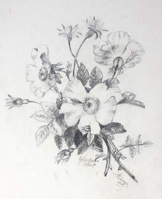 Bild Nr.1: 129-4028 Schwarzer, Edmund.: (Künstlergraphik)