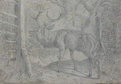Bild Nr.2: 129-4028 Schwarzer, Edmund.: (Künstlergraphik)