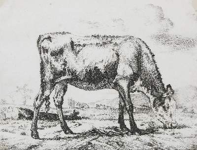 Bild Nr.1: 129-4128 Velde, Adriaen van de: (Künstlergraphik)