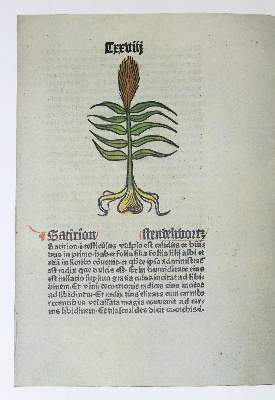 Bild Nr.1: 129-609 Kunze,H.: (Buchillustration)
