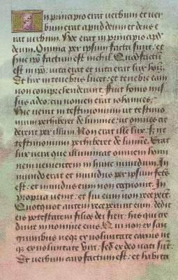Bild Nr.2: 129-634 Briconnet-Stundenbuch, Das.: (Faksimile)