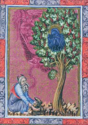 Bild Nr.2: 129-654 Wiener Bilderbibel.: (Faksimile)