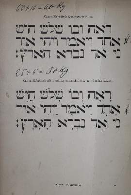 Bild Nr.1: 129-741 Proben: (Typographie und Kalligraphie)