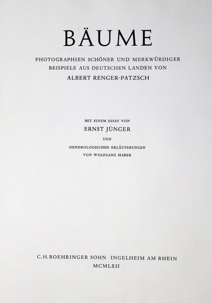 Große Abbildung Nr.2: 130-1555 Renger-Patzsch,A.: (Photographie)