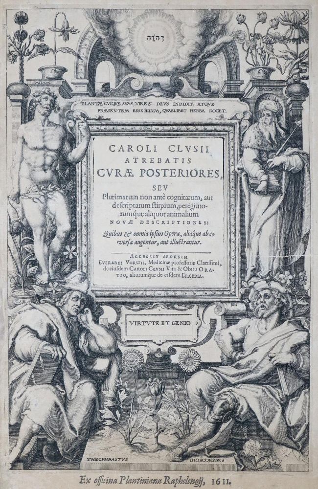 Große Abbildung Nr.1: 130-1673 Clusius, C.: (Botanik)