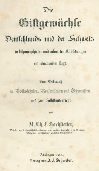 Große Abbildung Nr.1: 130-1676 Hochstetter,C.F.: (Botanik)