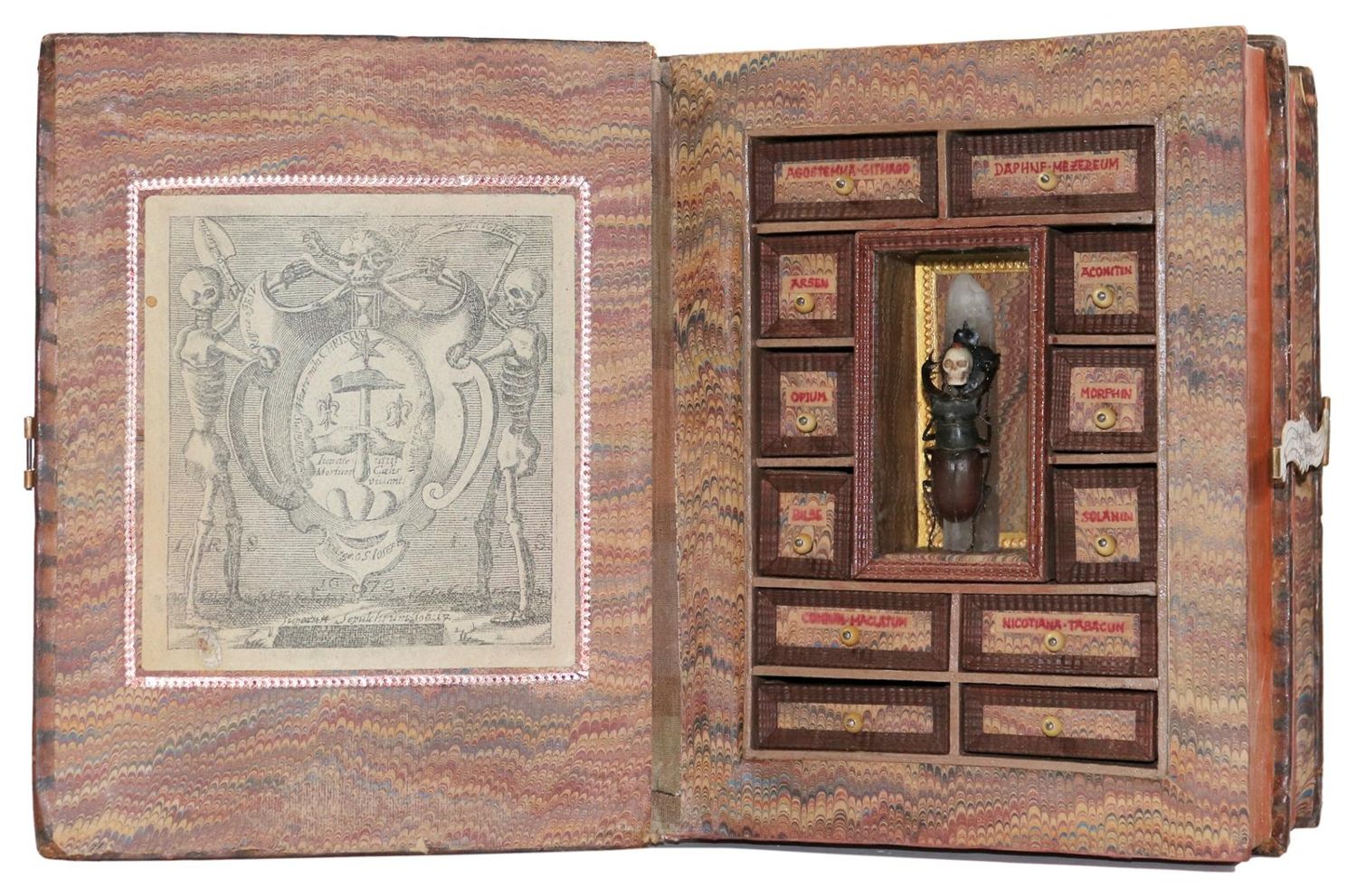 Große Abbildung Nr.1: 130-1690 Memento Mori, Gift Apotheke: (Botanik)