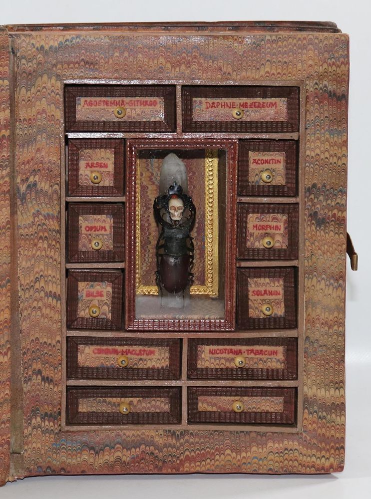 Große Abbildung Nr.7: 130-1690 Memento Mori, Gift Apotheke: (Botanik)