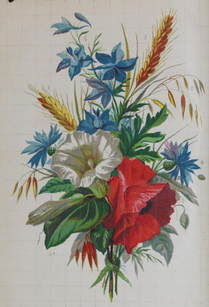 Große Abbildung Nr.1: 130-1691 Midy, T.: (Botanik)