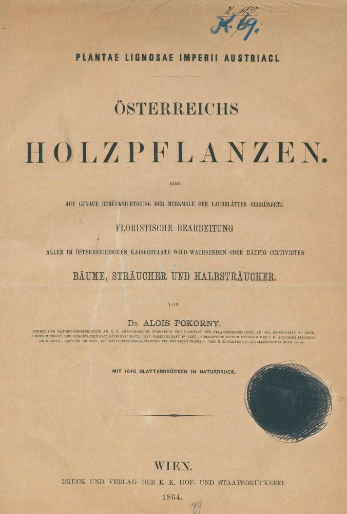 Große Abbildung Nr.1: 130-1693 Pokorny,A.: (Botanik, Naturselbstdrucke)