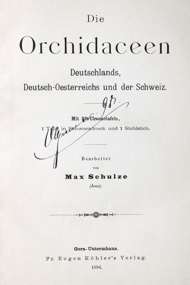 Große Abbildung Nr.1: 130-1694 Schulze,M.: (Botanik, Orchideen)