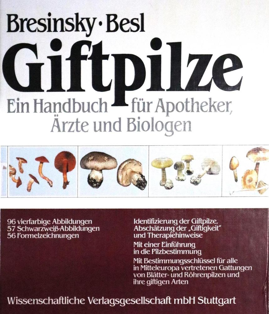 Große Abbildung Nr.1: 130-1702 Sammlung: (Botanik, Pilze)