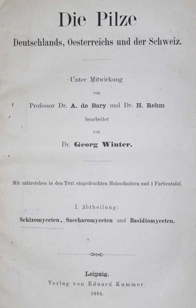 Große Abbildung Nr.1: 130-1703 Rabenhorst,L. (Hrsg.).: (Botanik)