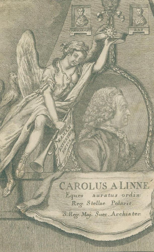 Große Abbildung Nr.1: 130-1727 (Zorn,J.): (Botanik)