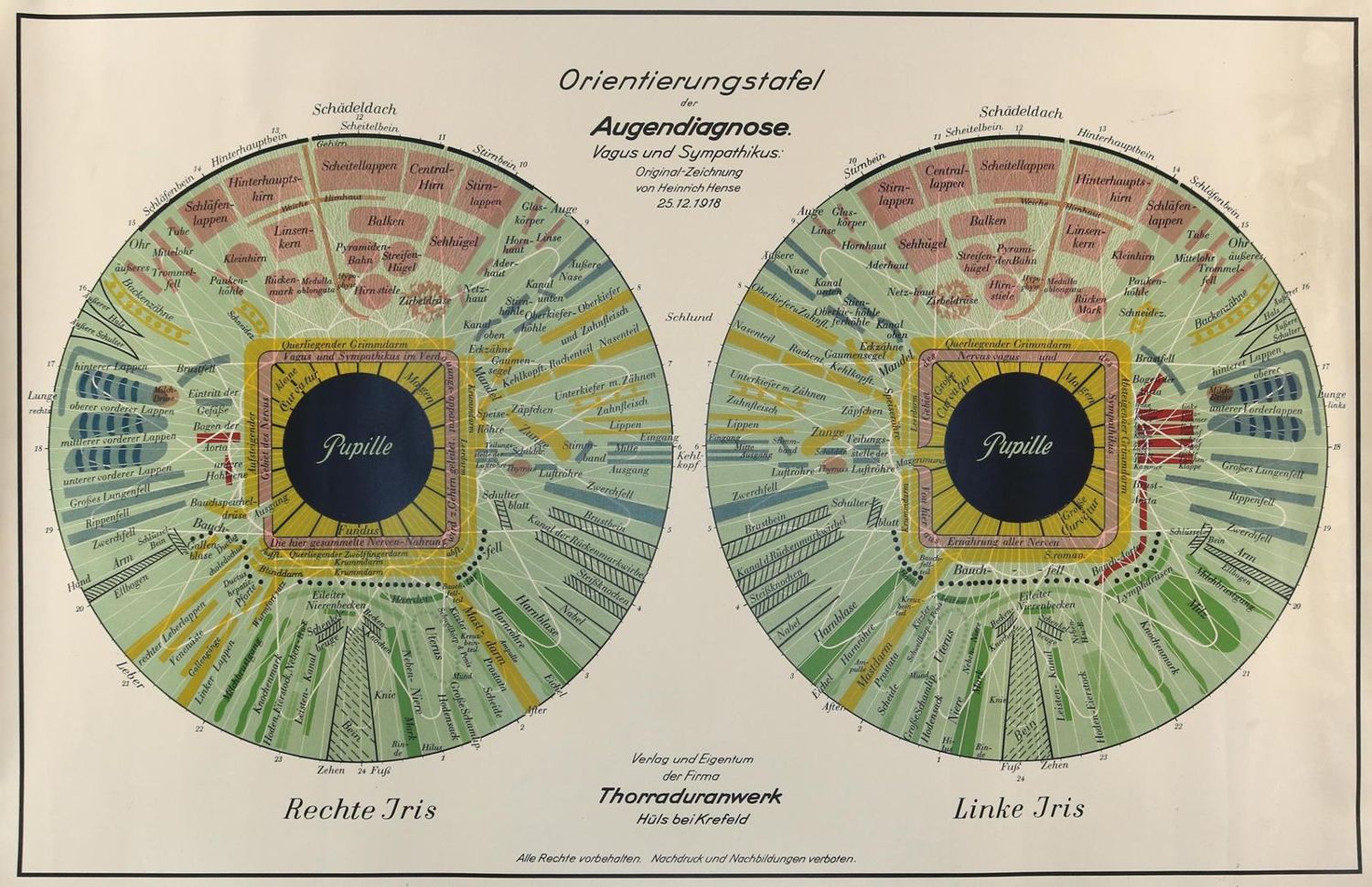 Große Abbildung Nr.4: 130-1728 Akupunkturtafel: (Medizin, Akupunktur)