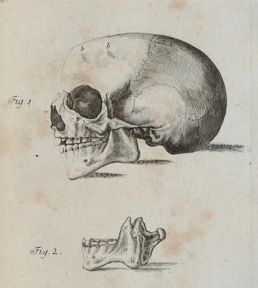 Große Abbildung Nr.2: 130-1739 Henckel,J.F.: (Medizin)
