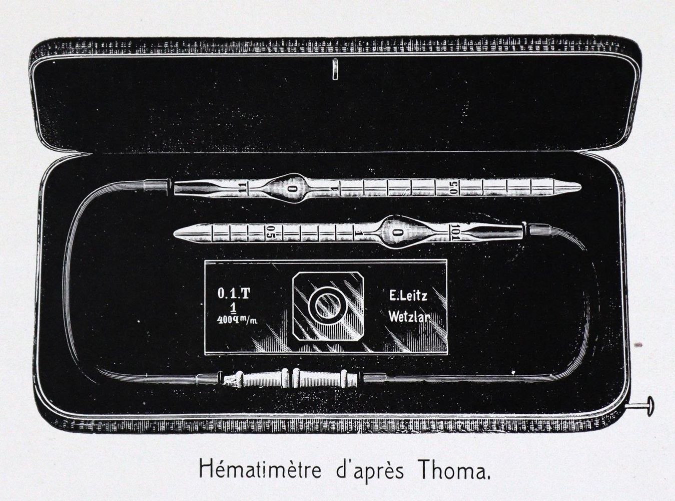 Große Abbildung Nr.3: 130-1828 Leitz,E.: (Sammlung von Professor Dr.Dr. Johannes Büttner)