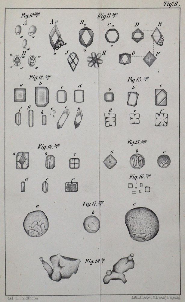 Große Abbildung Nr.4: 130-1856 Programmes: (Sammlung von Professor Dr.Dr. Johannes Büttner)