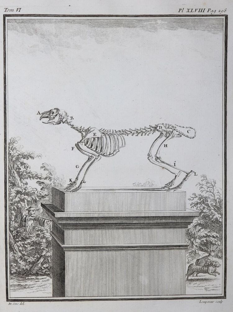 Große Abbildung Nr.24: 130-1901 Buffon,G.L.L.: (Zoologie)