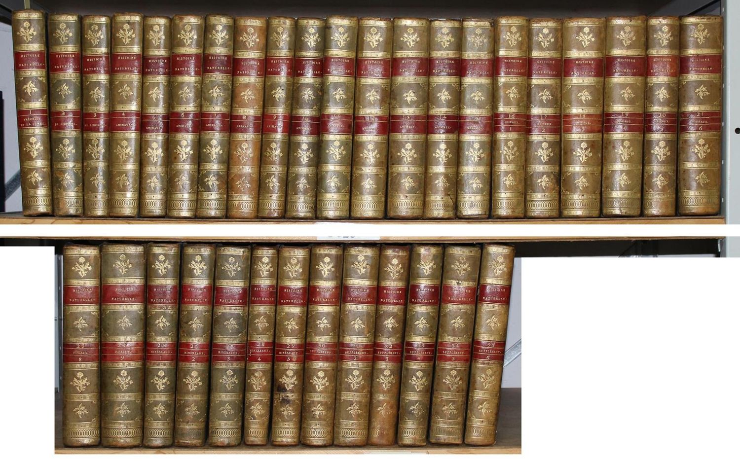 Große Abbildung Nr.6: 130-1901 Buffon,G.L.L.: (Zoologie)